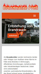 Mobile Screenshot of brandmeldeprofi.com
